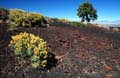 craters of the moon mn - lava - idaho 014